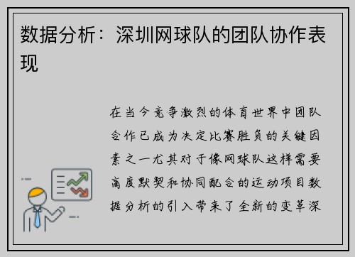 数据分析：深圳网球队的团队协作表现